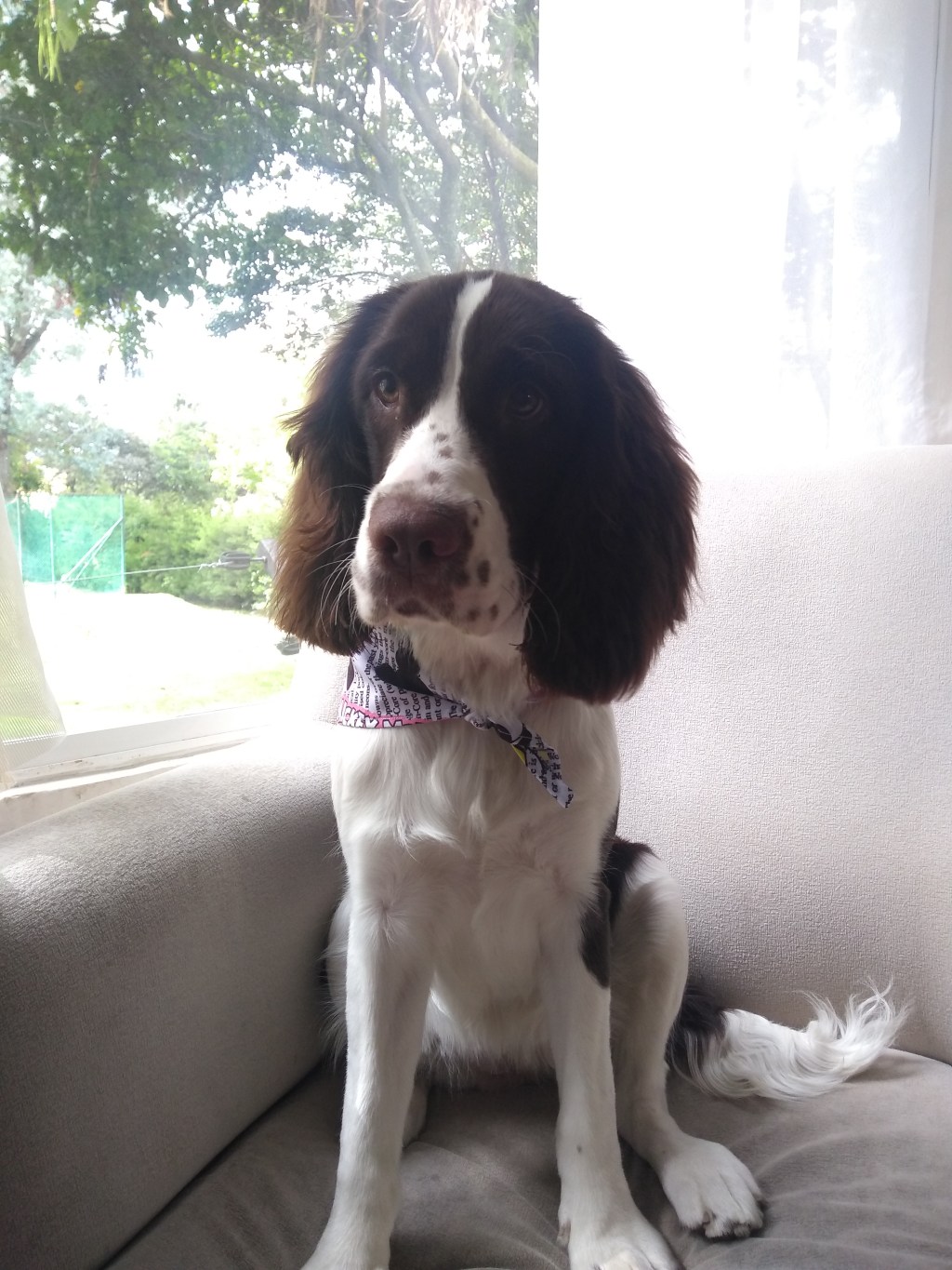 Que una herida no te robe lo que&nbsp;eres